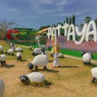 Pattaya Sheep Farm ฟาร์มแกะพัทยา