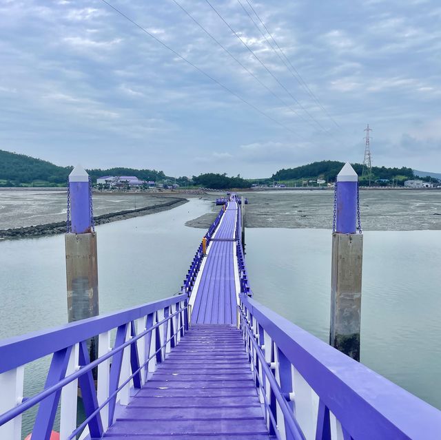 전남 신안의 퍼플섬 !! 보라보라마을 💜💜💜