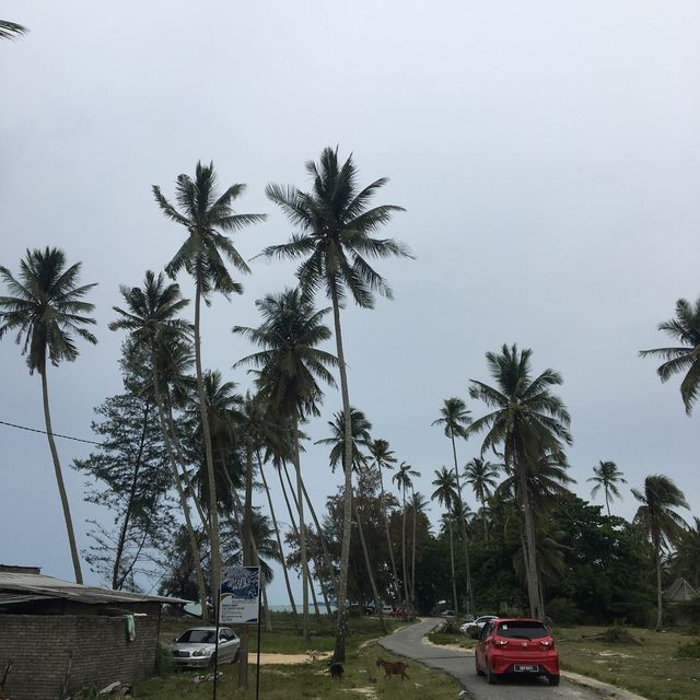Beach of Whispering Breeze!