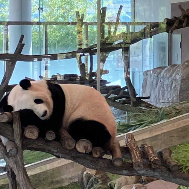 和歌山アドベンチャーワールド