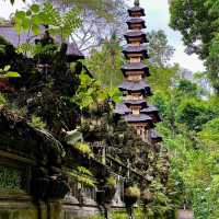 Explore out the Campuhan Ridge Walk