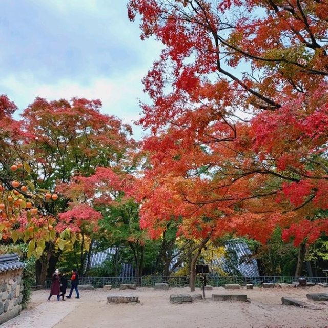 Colours at Bulguksa Temple  Gyeongju