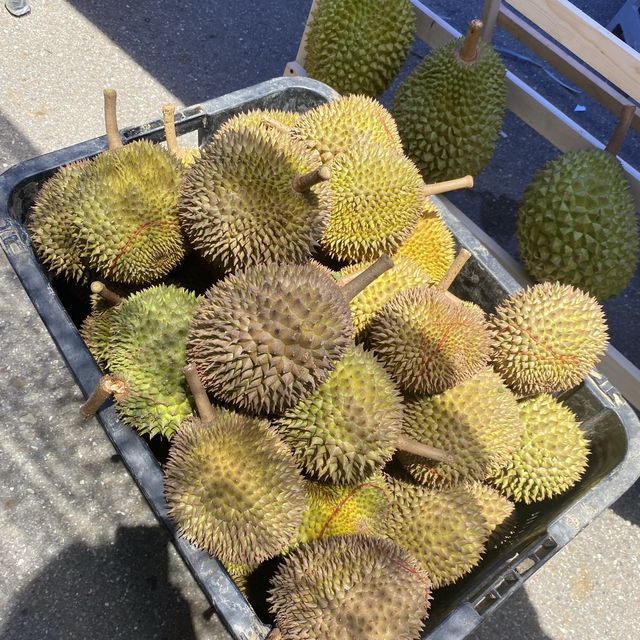 Durian Festivals Keningau