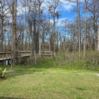 Wildlife park in Louisiana