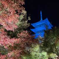 東寺🍁