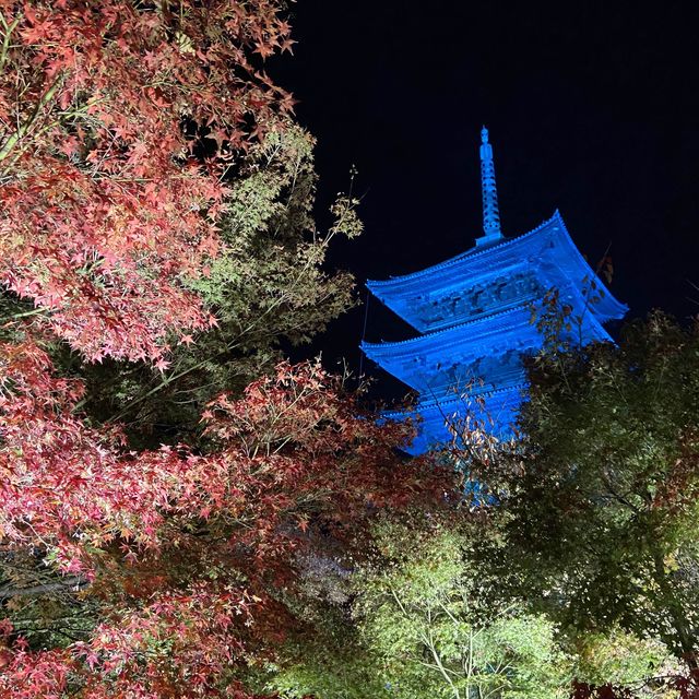 東寺🍁