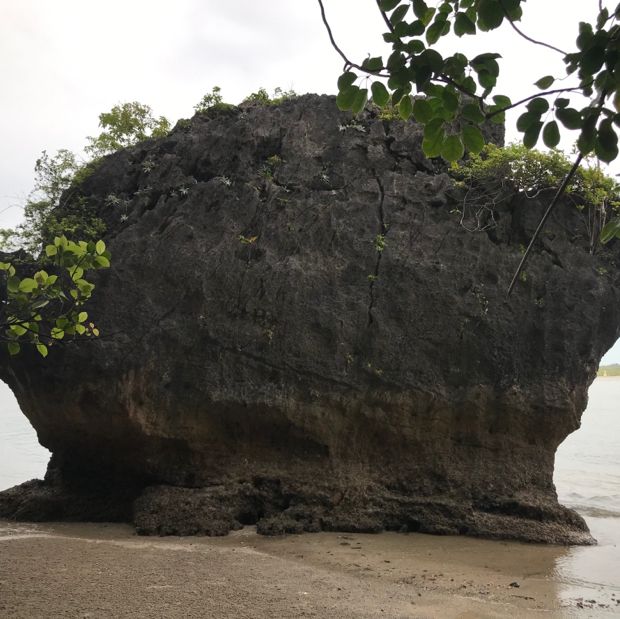 อุทยานแห่งชาติหาดเจ้าไหม ตรัง