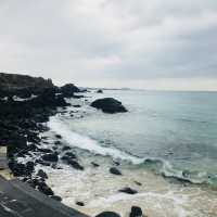 겨울 제주도 여행(사실상 먹으러 간..) 