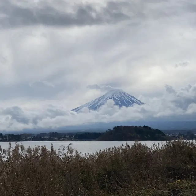 Wonderful view of Mt Fuji!