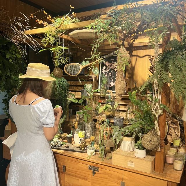 大埔林村隱世打卡植物園Botanic Union