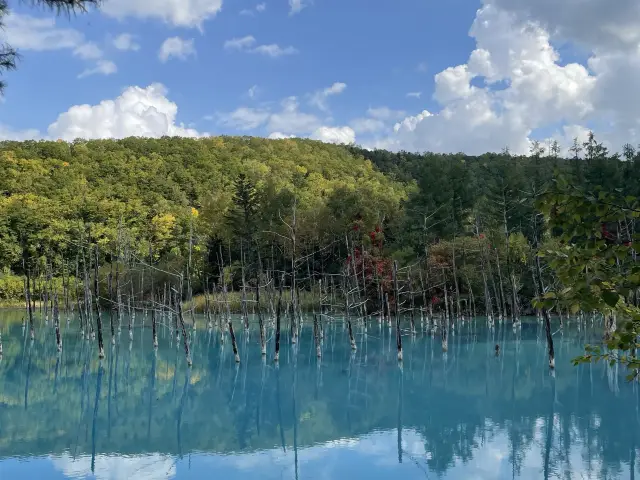 【北海道】青い池