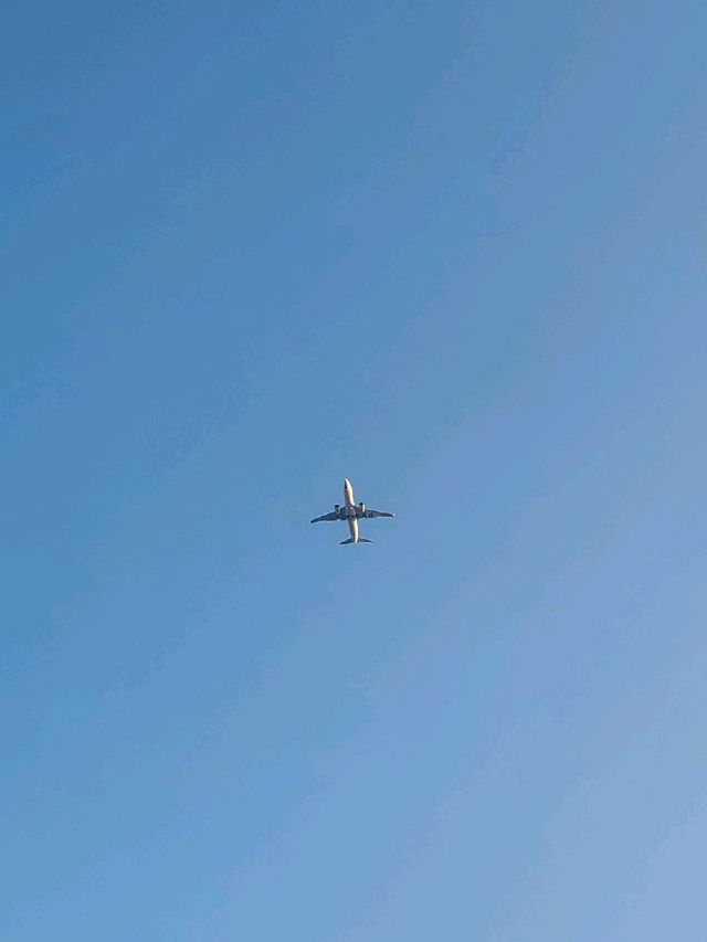 비행기와 함께 투샷 💙