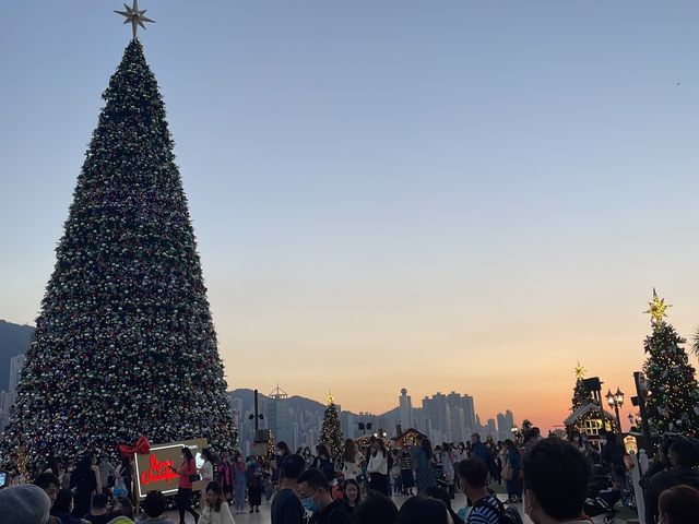 聖誕歐陸小鎮聖誕🎄🎁