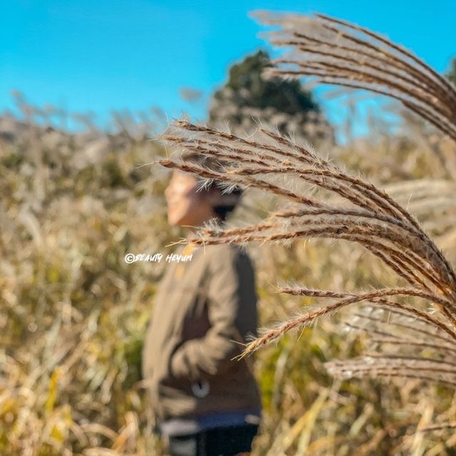 제주 가볼만한곳인 거문오름 