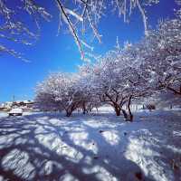 初雪の法典の湯(千葉・船橋)