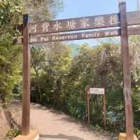 港版嵐山竹林道