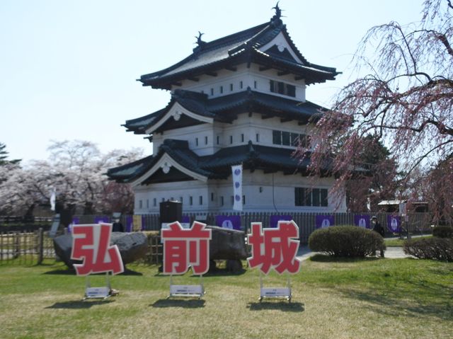 【桜まつり】弘前公園