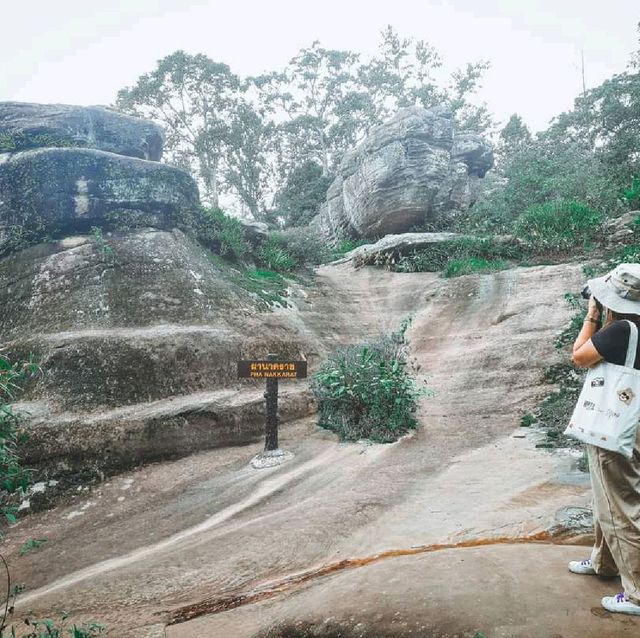 อุทยานแห่งชาติภูหินร่องกล้า จังหวัดพิษณุโลก