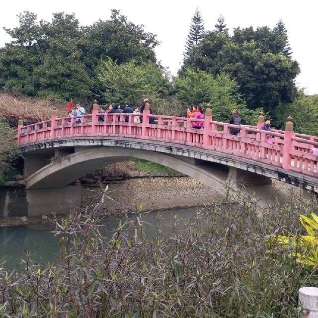櫻花公園🌸🌸🌸