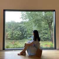 경주 인생샷 찍기 좋은 솔거미술관