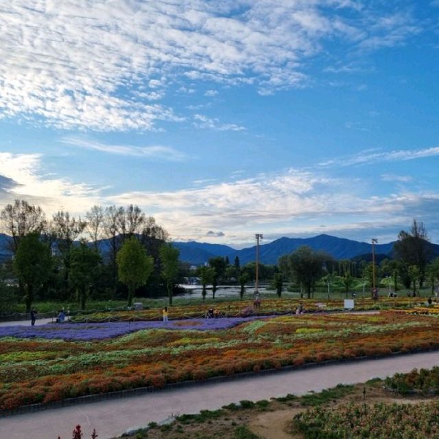 알록달록 예쁜 꽃들이 한가득🌼 가평 남도꽃정원