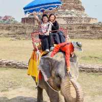 คาเฟ่หญ้าหลากสี มีน้องช้างสุดคิ้วท์ 🐘💐🍃