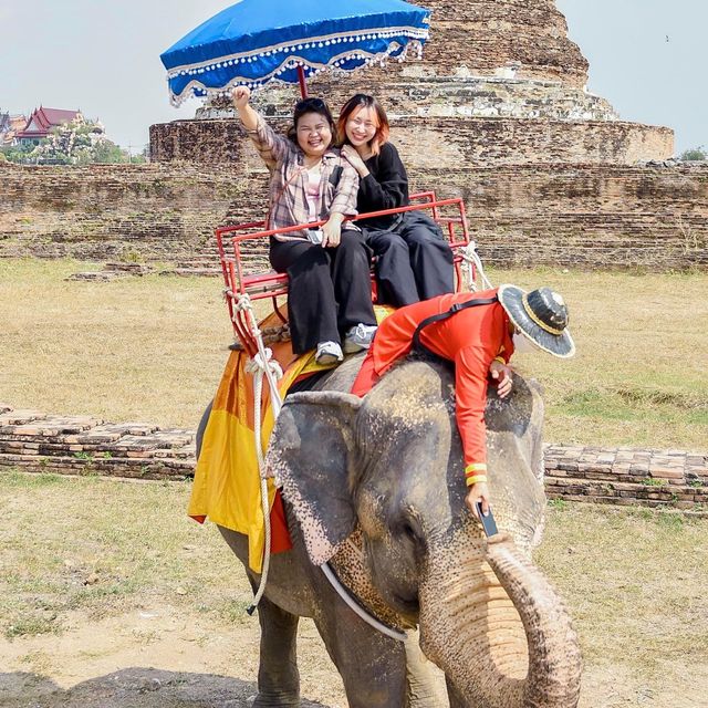 คาเฟ่หญ้าหลากสี มีน้องช้างสุดคิ้วท์ 🐘💐🍃