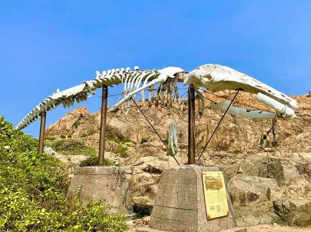打卡港島最東點-鶴咀