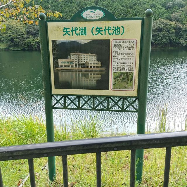 兵庫県！ユニトピア篠山で森林浴