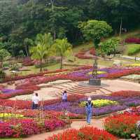 สวนแม่ฟ้าหลวง​ ดอยตุง