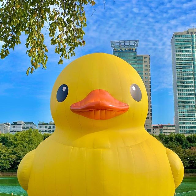 8년만에 석촌호수에 나타난 러버덕🐥 :주차꿀팁✨