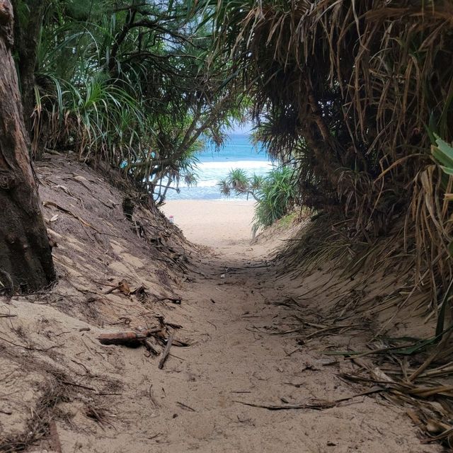 【奄美大島】ハートロック