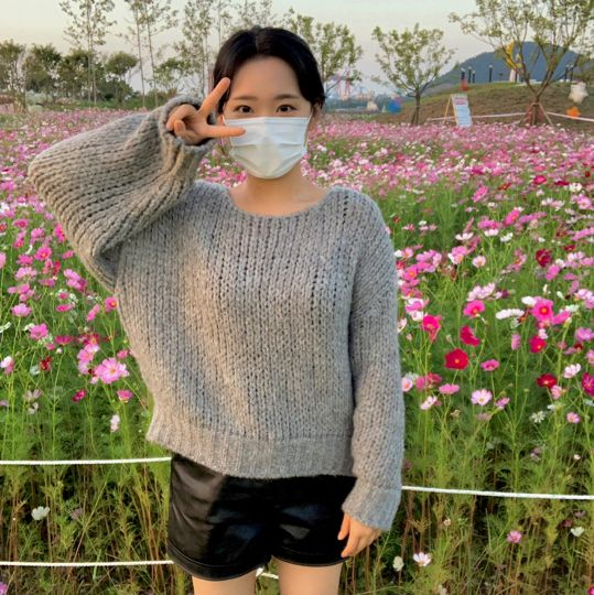 🌸 고하도 ‘코스모스‘ 🌸