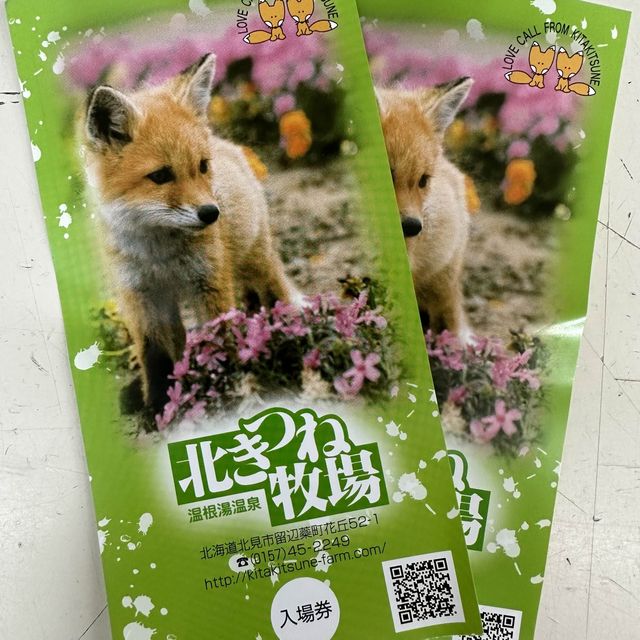 可愛狐狸