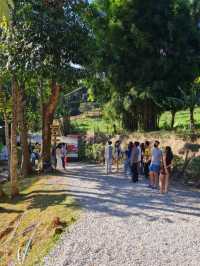 Jungle Coaster, Chiangmai 
