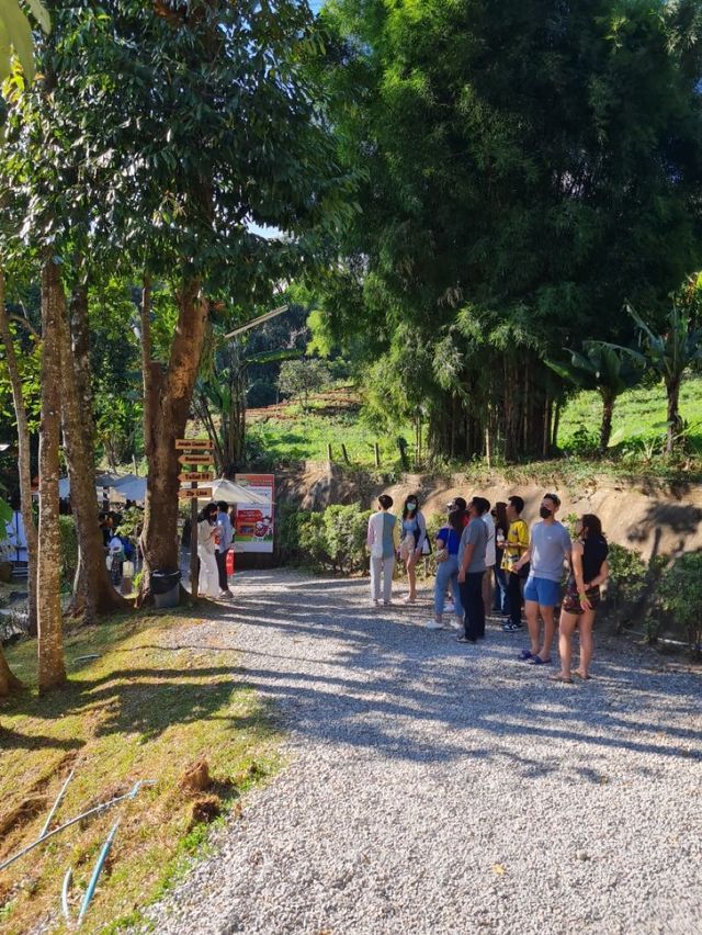 Jungle Coaster, Chiangmai 