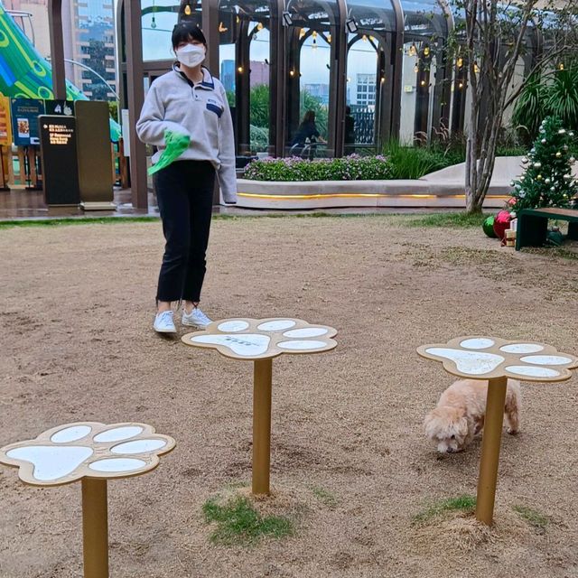 尖沙咀全海景 , 七樓頂樓平台！寵物公園！