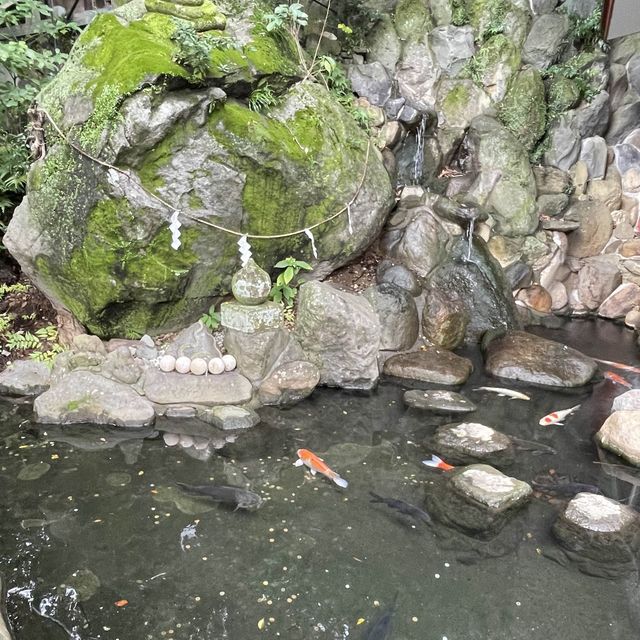 パワースポット✨迫力大の來宮神社（来宮神社）