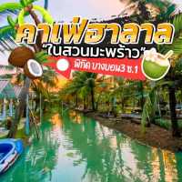 🏝บรรยากาศดี อาหารอร่อย กลางสวนมะพร้าว กรุงเทพฯ