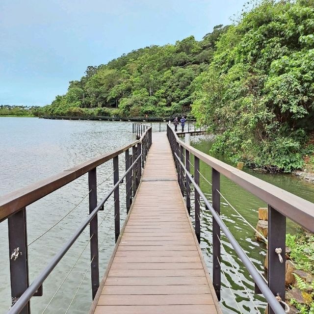 宜蘭 | 「龍潭湖特定風景區」，園區內有超多白鷺鷥棲息，還有悠遊在湖畔的鴨子群