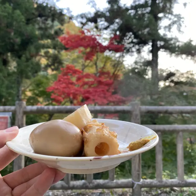 絶景！箕面の森の紅葉🍁