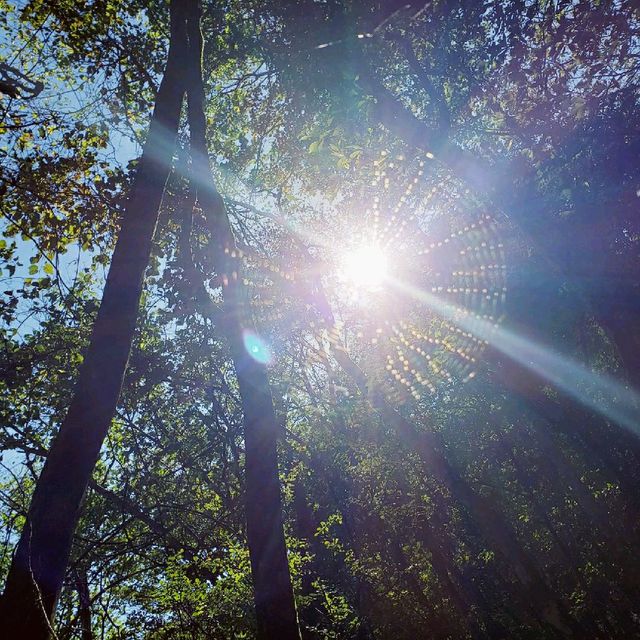 【山梨県、静岡県、神奈川県】三国山