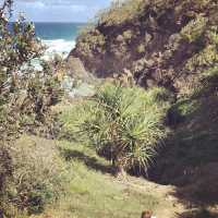 Noosa National Park | Sunshine Beach