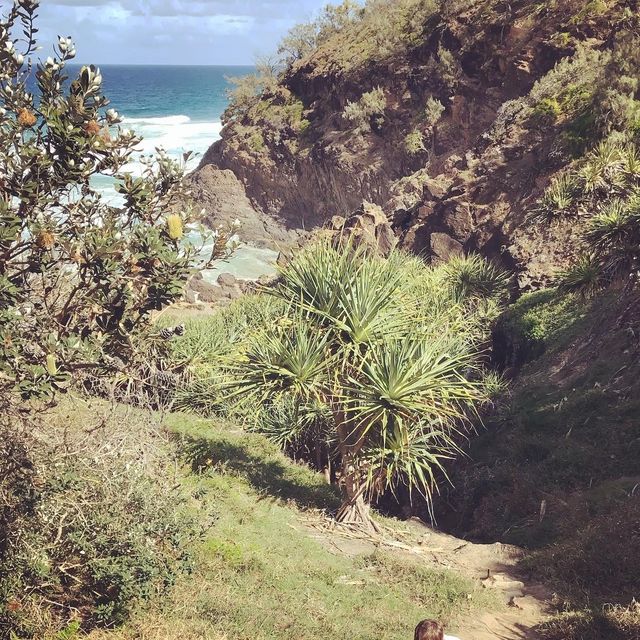 Noosa National Park | Sunshine Beach