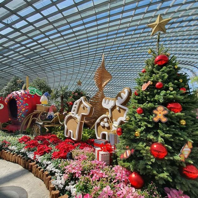 Flower Dome, Christmas Edition