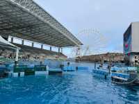 名古屋の水族館といえばココ🐠！【名古屋港水族館】