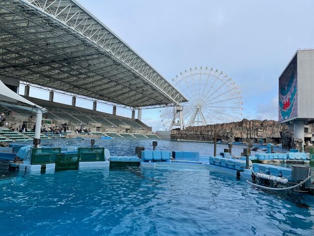 名古屋の水族館といえばココ🐠！【名古屋港水族館】