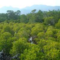 สถานีพัฒนาทรัพยากรป่าชายเลนที่ 4 เกาะช้าง