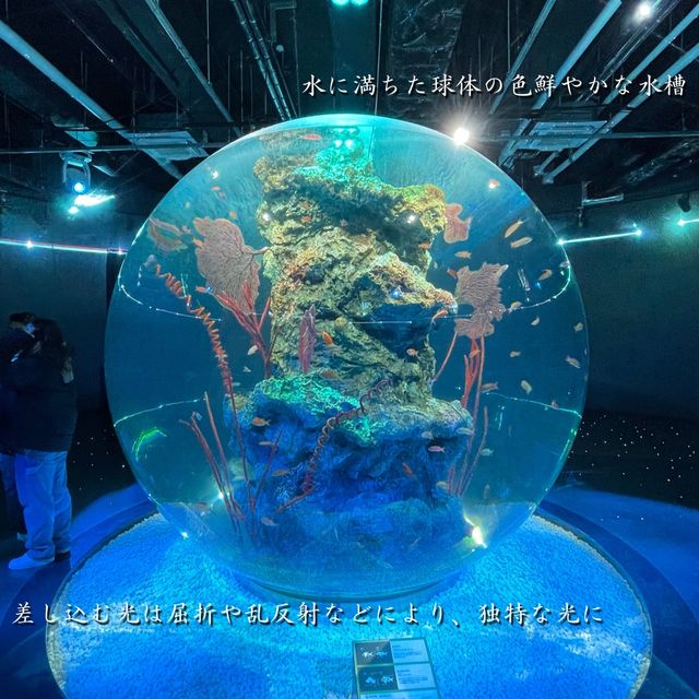 Art × Aquarium