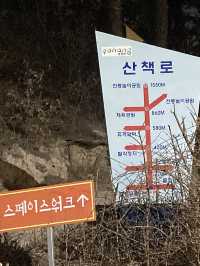 요즘 핫한 국내 이색여행지